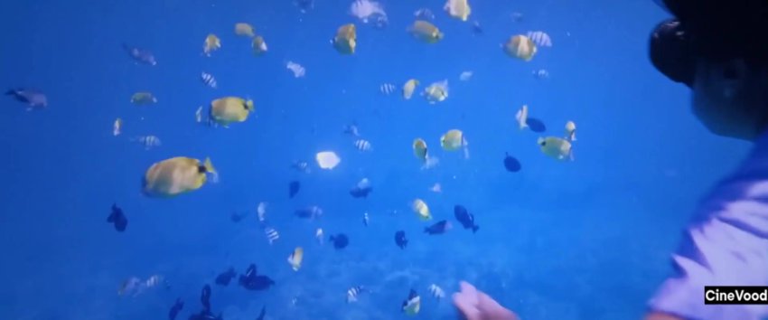 Lilo &Amp; Stitch 2025 Hindi 1080p Hdts X264 Hc Ksub Cin