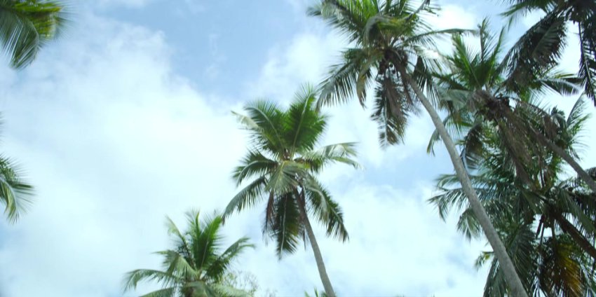 The Mystery Of Moksha Island S01 (2024) Hindi Completed (2)