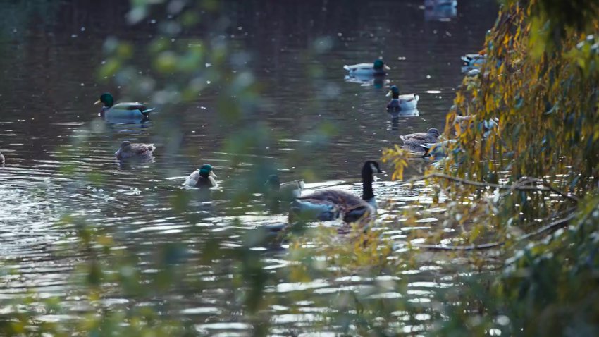 @Lizzie Uploads United Kacche S01 E08 Webrip 720p Hindi Aac 5 1