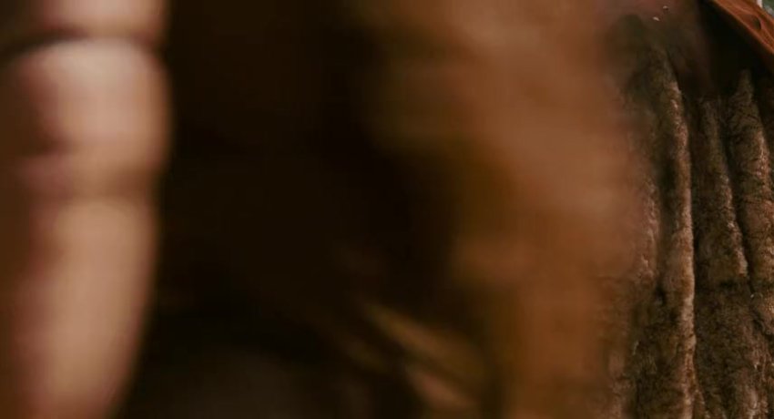 Year One 2009 English