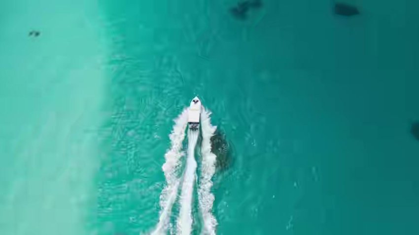 Party Till I Die S01 2024 Hindi Completed Web Series Hevc 480p Esub