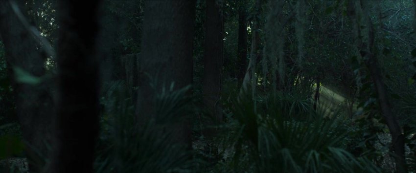 Tg [@Mmson Moviess] Where The Crawdads Sing (2022) 1080p Bluray Org [Hindi Or English] X264 Esubs Mkv