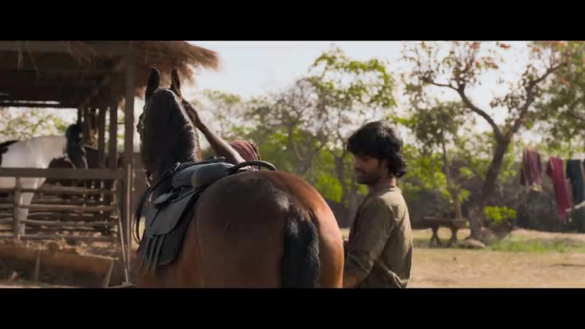 Azaad (2025) Hindi Nf Web Dl 480p