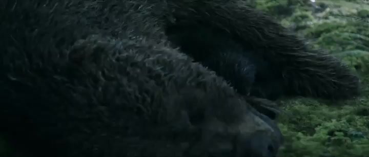 Dawn Of The Planet Of The Apes 2014 480p Bluray Dual Audio Hindi