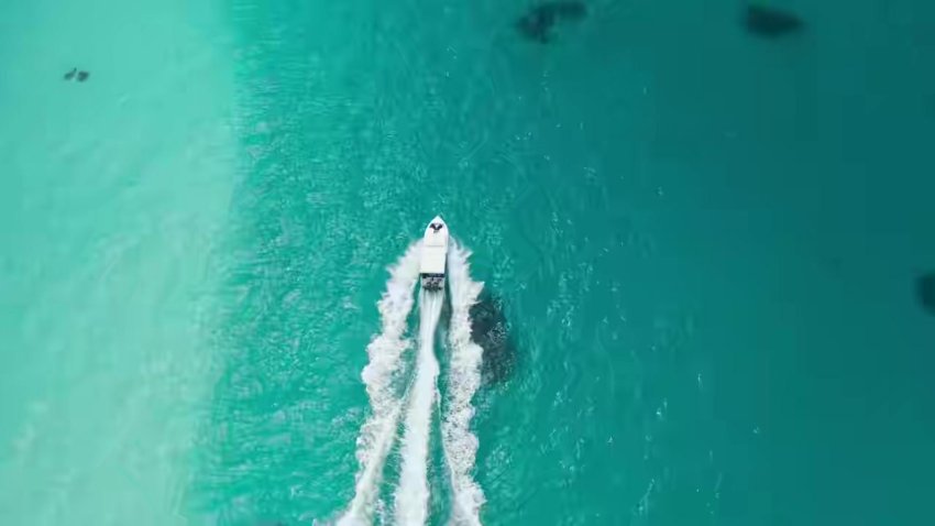 Party Till I Die S01 2024 Hindi Completed Web Series Hevc 720p Esub