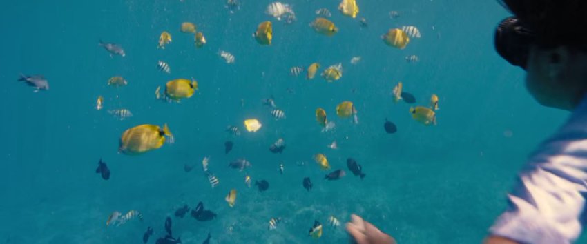 Lilo And Stitch 2025 720p 10bit Bluray Hindi English Esubs Moviesmod