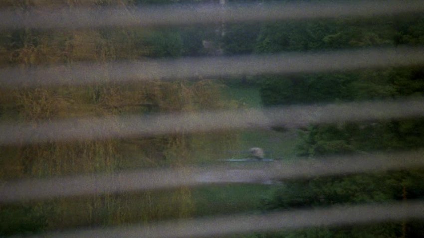 That Cold Day In The Park 1969 720p Bluray Mp4