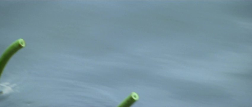 Asoka (2001) Bollywood Hindi(dd5 1 192kbps) Movie Hd 1080p Esub