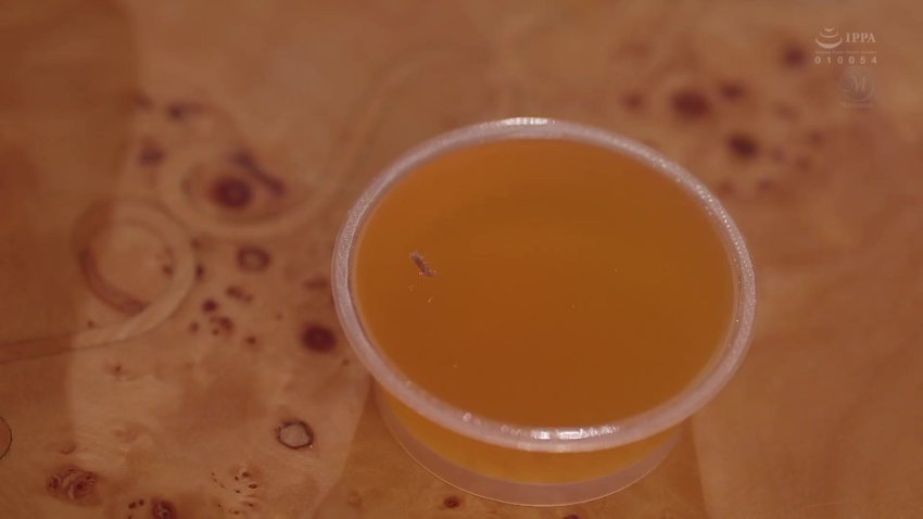 Juq 365 Tada Yuka Av Empire Ix Fanspage