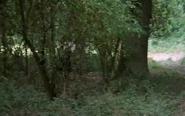 What every French women wants.mp4