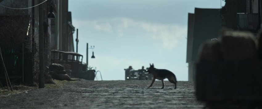 Blood And Gold (2023) 1080p Nf Hdrip Hollywood Movie Org