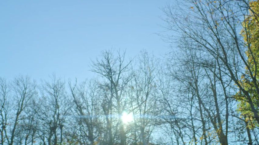 The Collective 2023 English