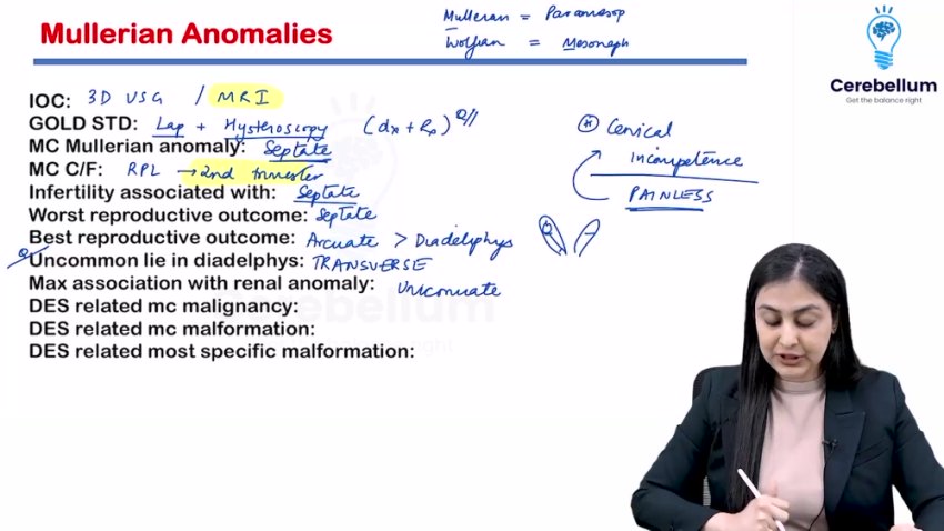 Obstetrics And Gynecology