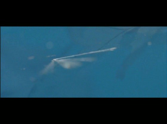 My_Brother&#39;s_Wife_AKA_La_mujer_de_mi_hermano_2005_Korean_720p_Bluray.avi