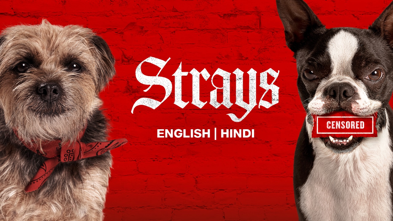 Strays